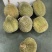 精品马来西亚液氮猫山王大量有货产地直发欢迎选购