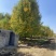 济宁白蜡基地10-25公分