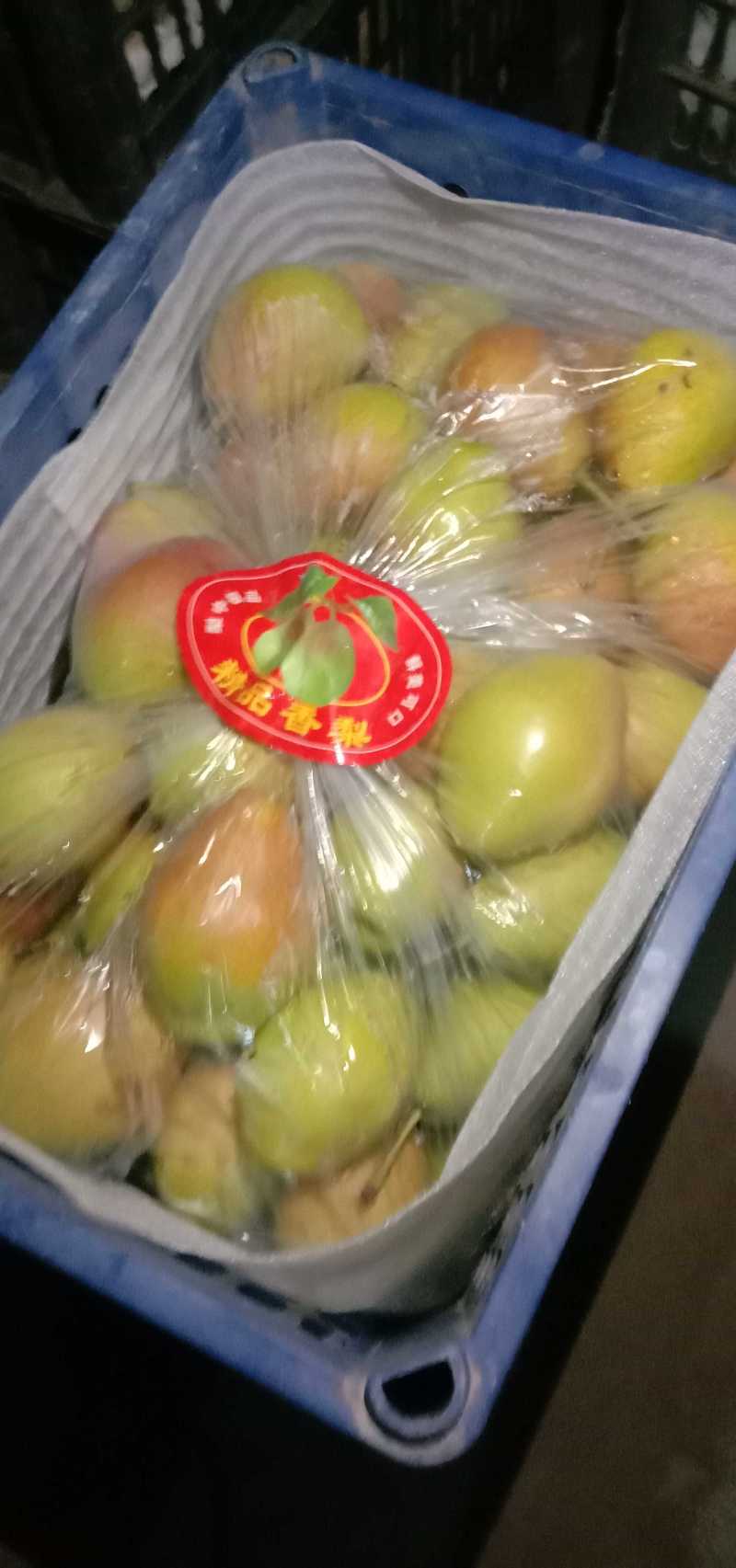 库存红香酥梨大量有货，可适应高中低市场欢迎采购
