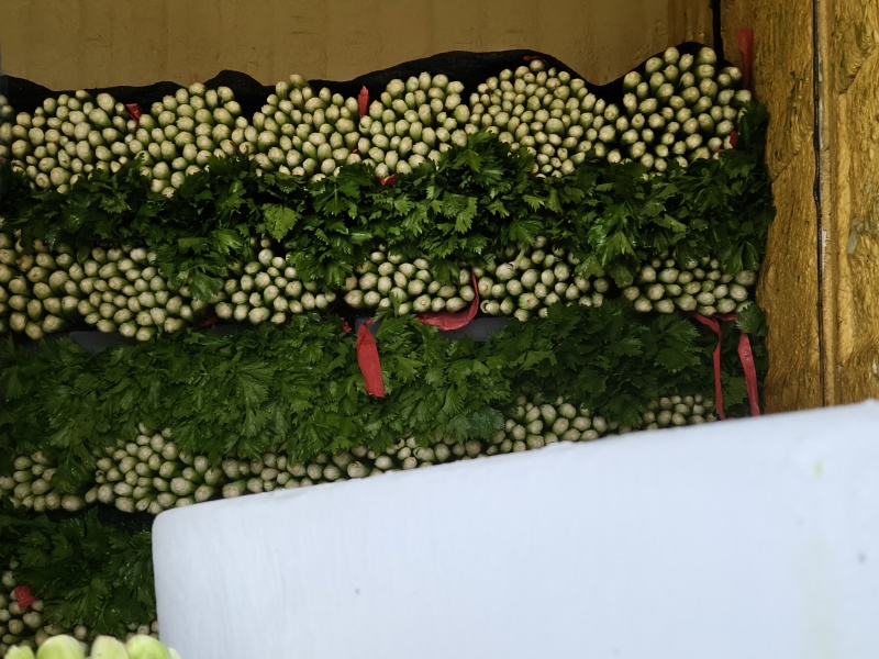 商河中棵西芹菜