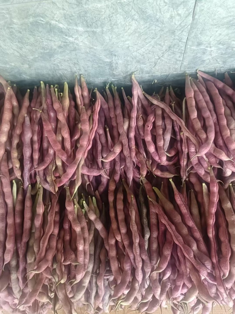 🔥精品红豆大量上市欢迎大家前来选购