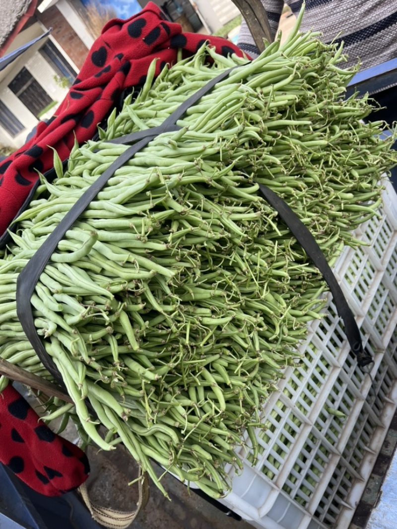 🔥优质无筋豆条形直货儿巴适支持商超拖板车