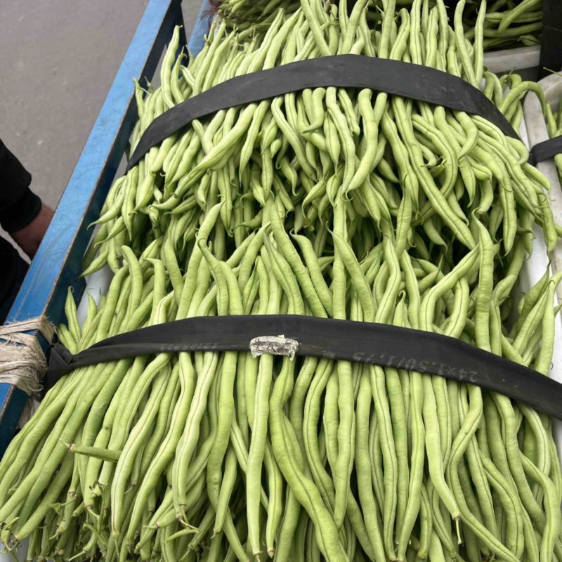 🔥优质无筋豆条形直货儿巴适支持商超拖板车