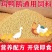 养殖鸡鸭鹅颗粒饲料，崔肥肉快，产蛋高，80-100斤一包