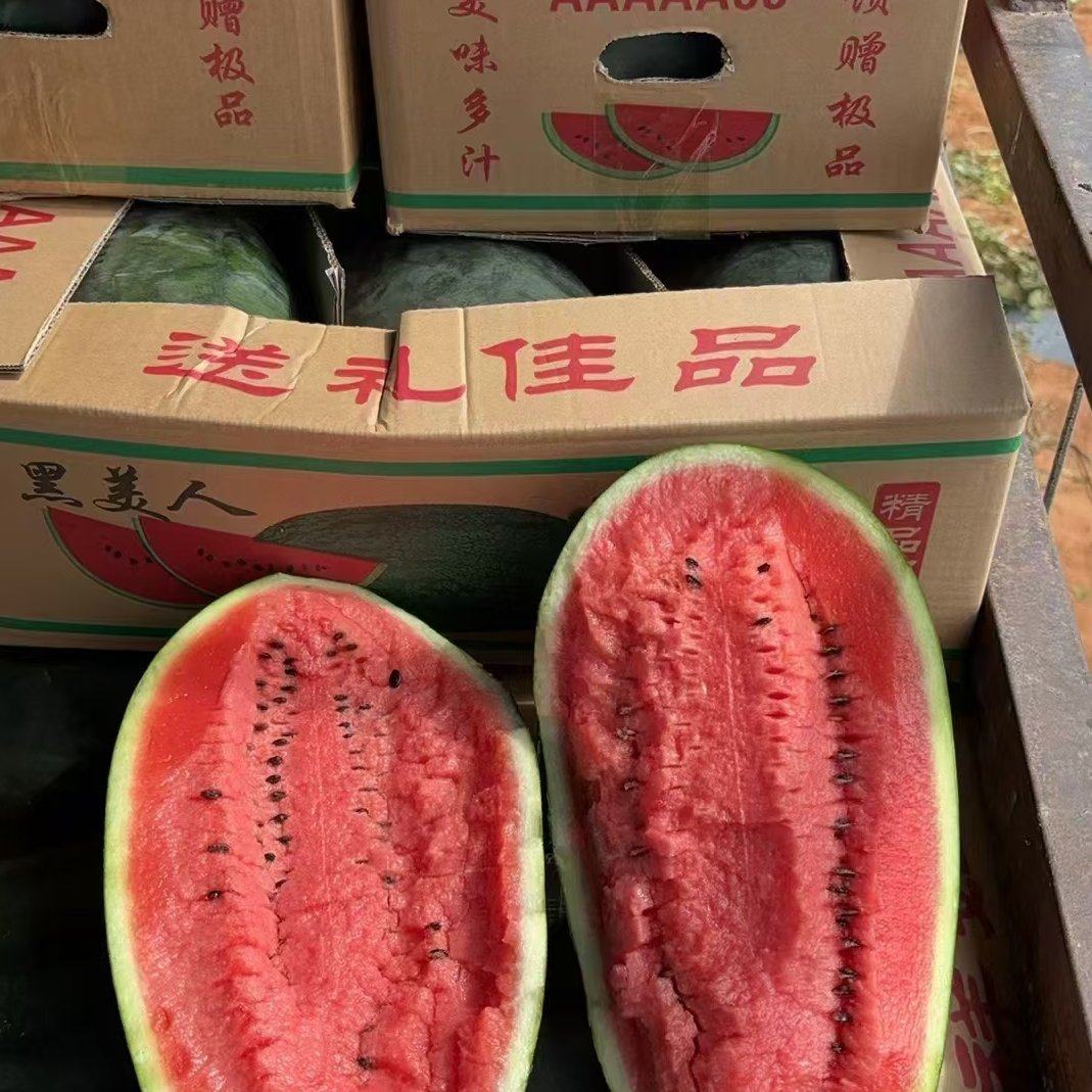 [西瓜批发]广东河源紫金县西瓜 1.00元/斤黑美人，甜王 _ 一亩田