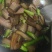 挑骨老腊肉，农村人养的猪，晶莹剔透，回味留香