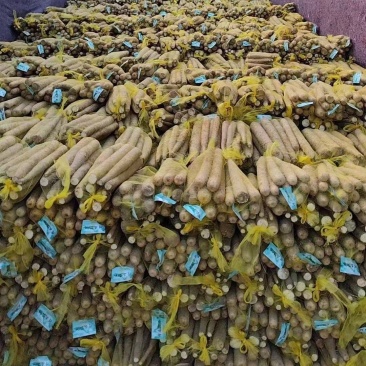 山药大量有货