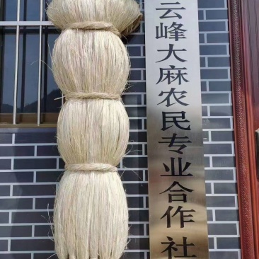 甘肃白麻