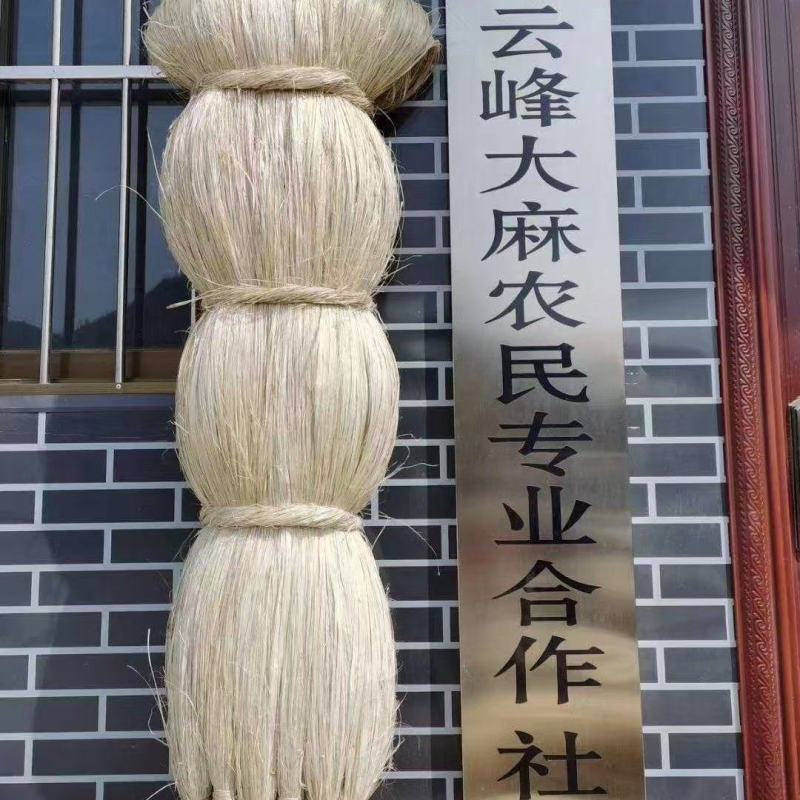 甘肃白麻