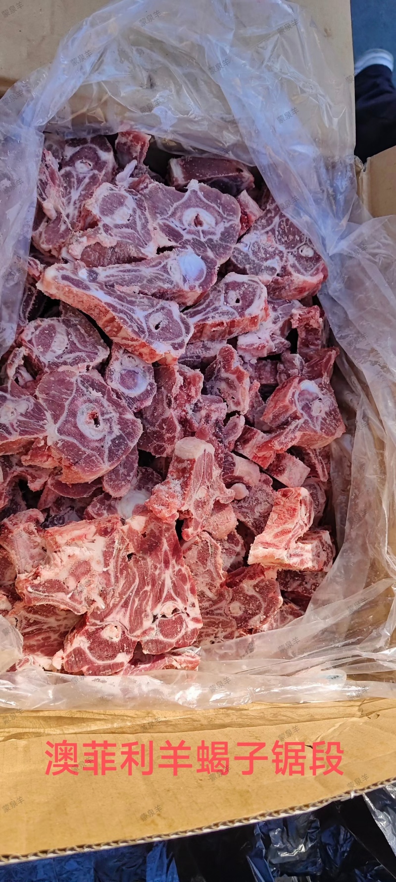 内蒙满肉羊蝎子20斤一件，可根据客户需求，加工切块