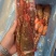 生冻波龙一手货源批发品质保证全国各地可发货…