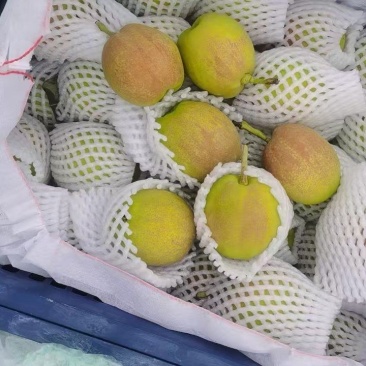 库尔勒香梨，冷库货，来自天山的