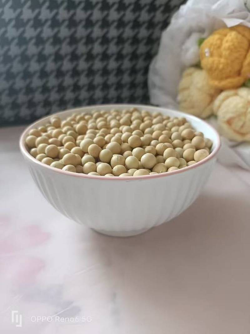 黑龙江高蛋白黄豆，自家种植，无农药化肥，品质保证