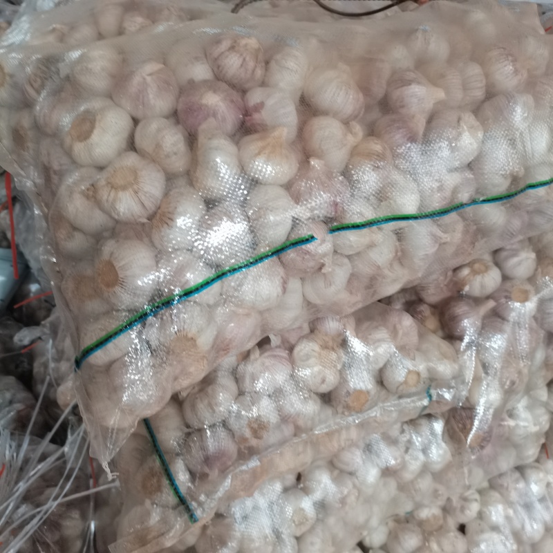 金乡紫皮大蒜，保质保量产地直发，大量供应
