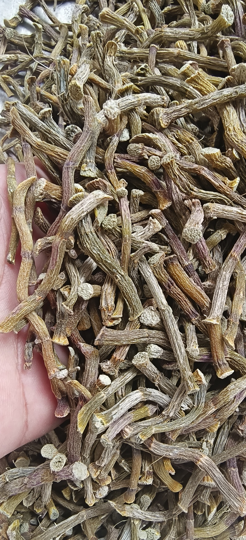 铁皮石斛寸条，条索肉质饱满，足干，颜色纯正，无任何添加