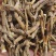 铁皮石斛寸条，条索肉质饱满，足干，颜色纯正，无任何添加