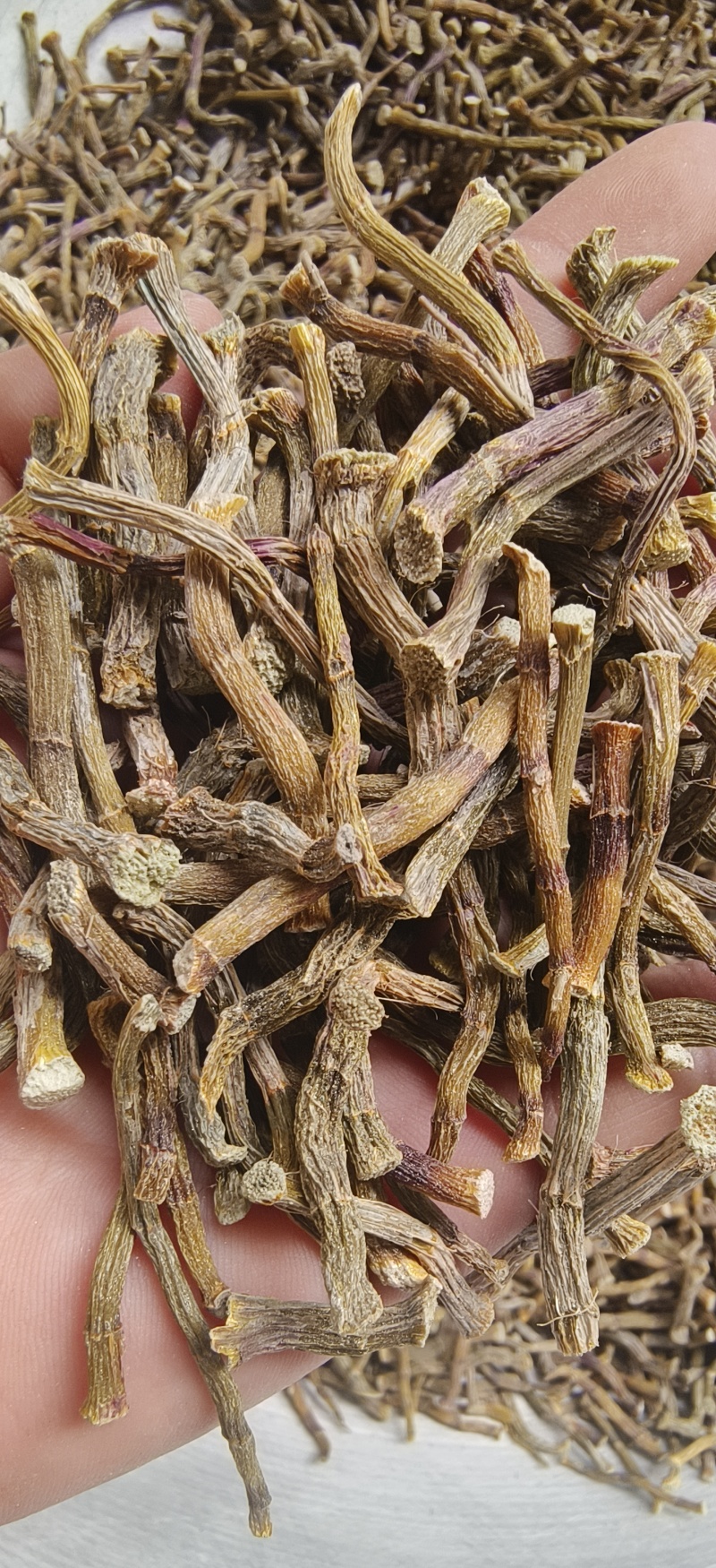 铁皮石斛寸条，条索肉质饱满，足干，颜色纯正，无任何添加