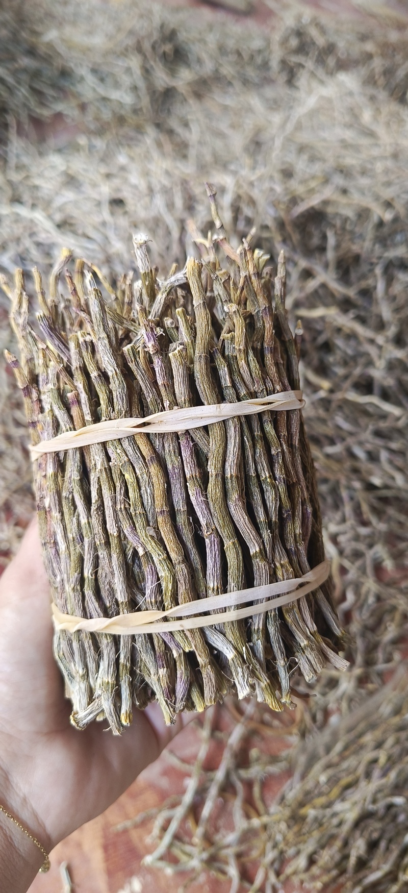铁皮石斛捆条，长捆条，短捆条，条索饱满，无夹心