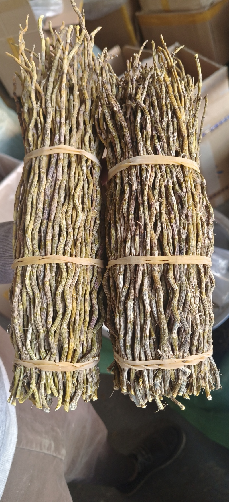 铁皮石斛捆条，长捆条，短捆条，条索饱满，无夹心