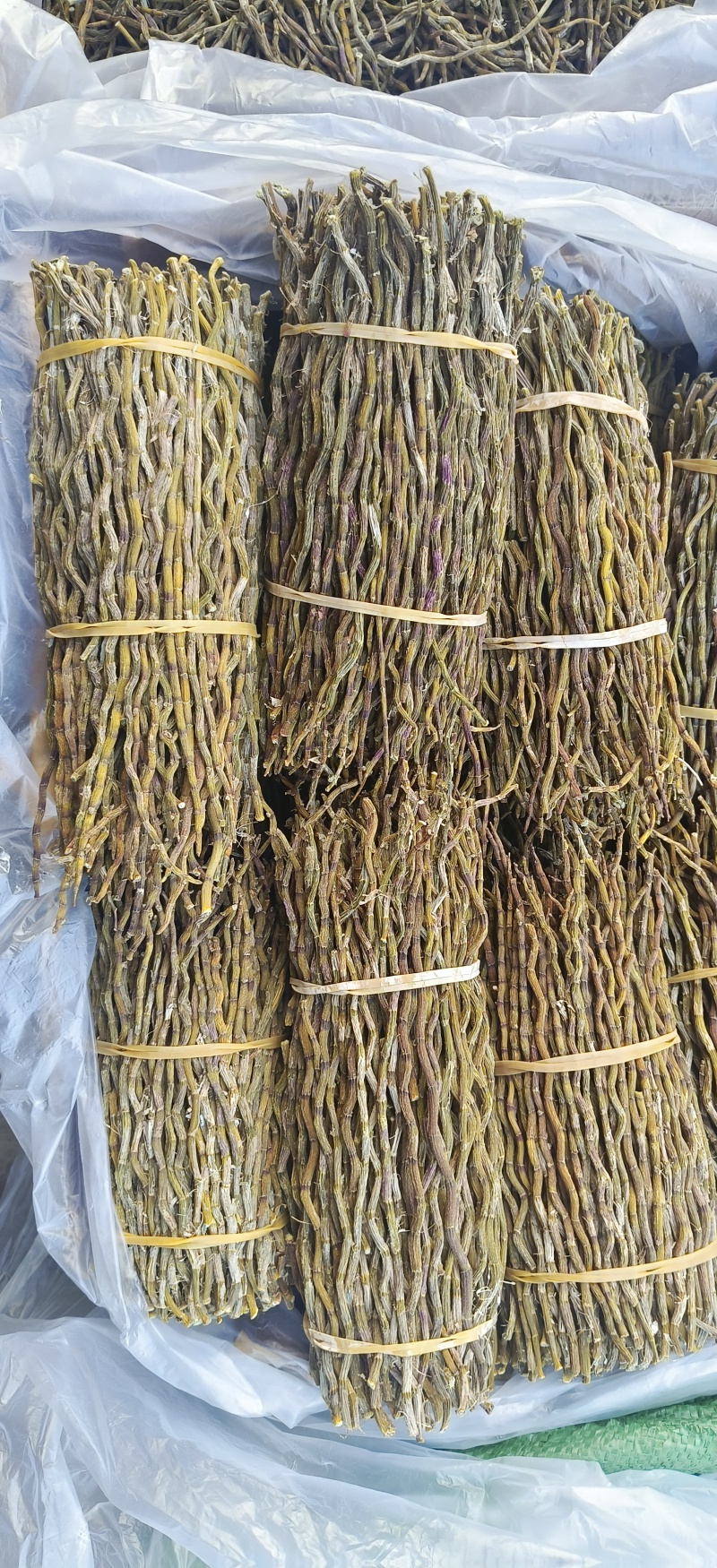 铁皮石斛捆条，长捆条，短捆条，条索饱满，无夹心