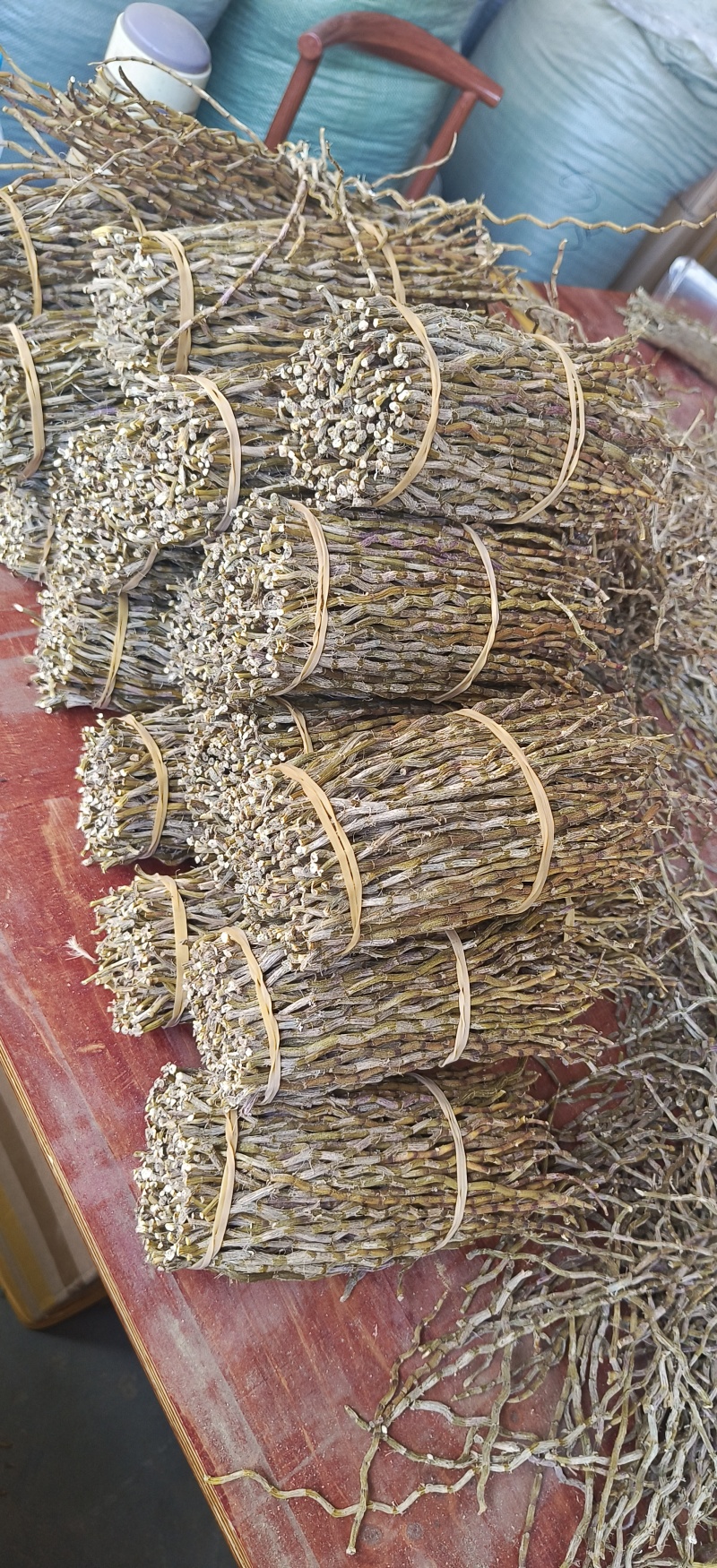 铁皮石斛捆条，长捆条，短捆条，条索饱满，无夹心