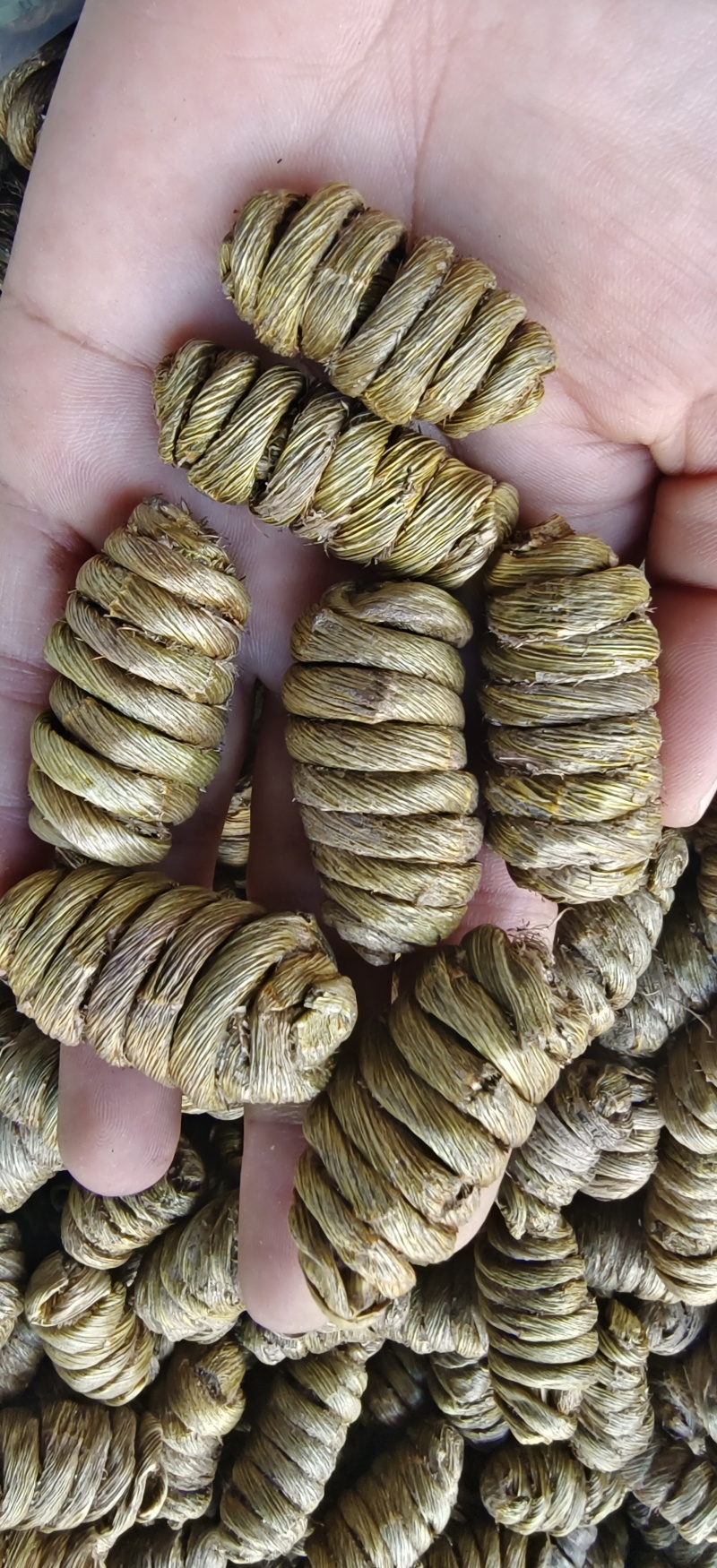 紫皮石斛，紫皮大枫斗，源头货源，可看样品，样货同样