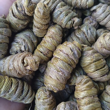 紫皮石斛，紫皮大枫斗，源头货源，可看样品，样货同样