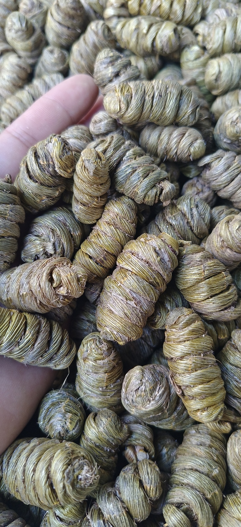 紫皮石斛，紫皮大枫斗，源头货源，可看样品，样货同样
