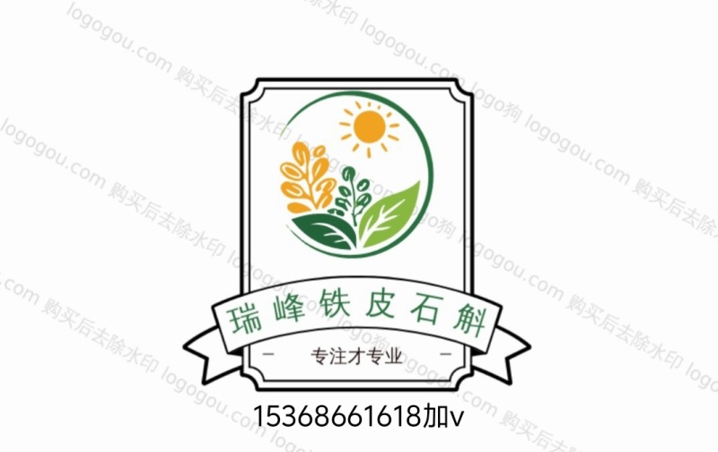 铁皮石斛，切片（大片）（中片）（小片）肉质饱满，片片均匀