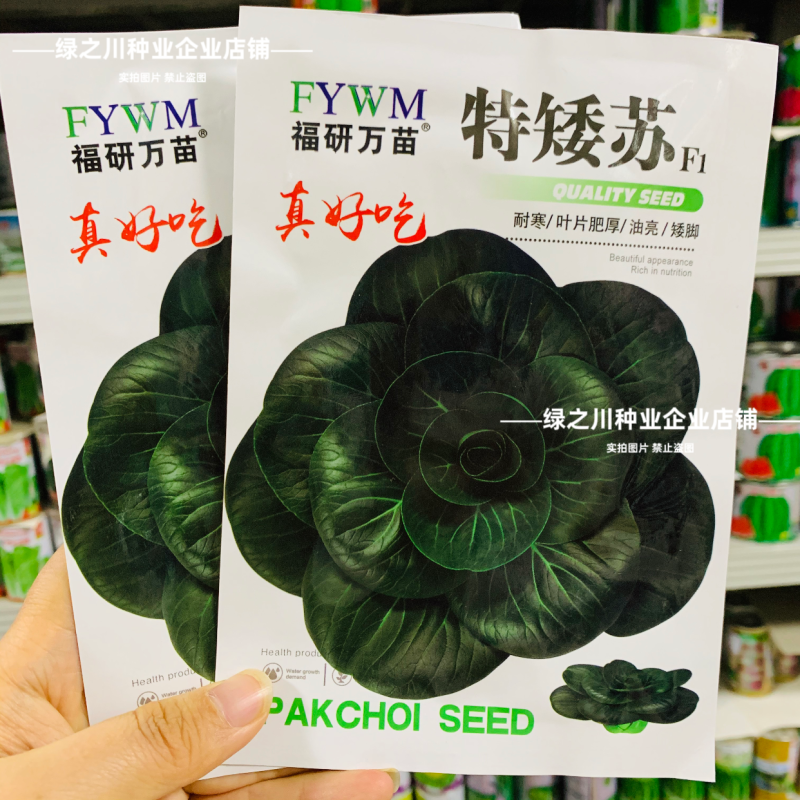 特矮苏青菜种子耐寒油菜真好吃苏州青种子矮脚油亮苏州青种籽