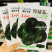 特矮苏青菜种子耐寒油菜真好吃苏州青种子矮脚油亮苏州青种籽