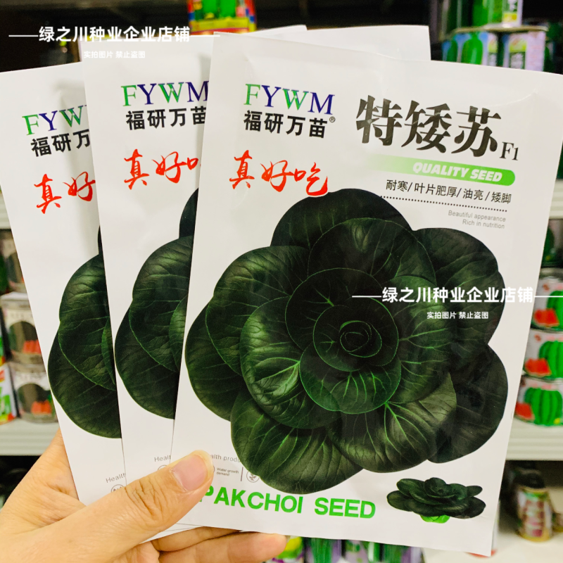 特矮苏青菜种子耐寒油菜真好吃苏州青种子矮脚油亮苏州青种籽