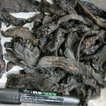 中药材肉苁蓉大云