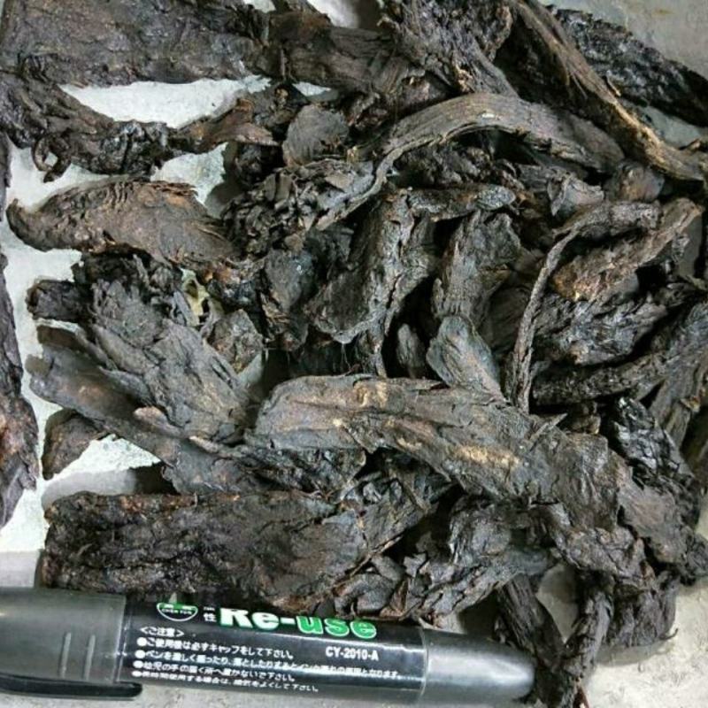 中药材肉苁蓉大云
