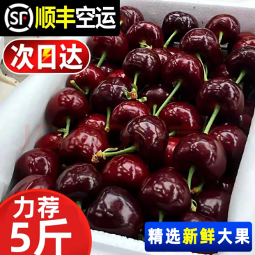 智利车厘子，顺丰一件代发，次日达，对接电商