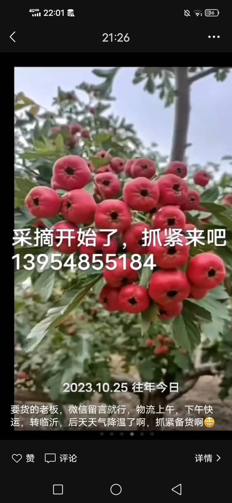 新泰南流泉甜红子山楂