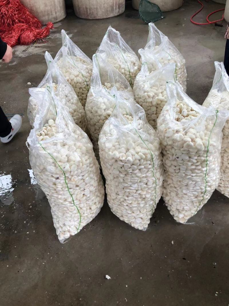 精选安徽珍珠马蹄，口感脆甜奶香，质量特别棒。