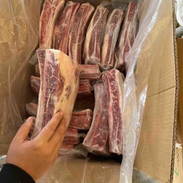 S牛仔骨/厂家直供/国产自有鲁西黄牛屠宰分割车间