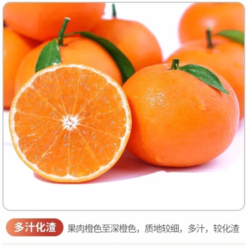 武鸣沃柑，支持全网一件代发，整车代办
