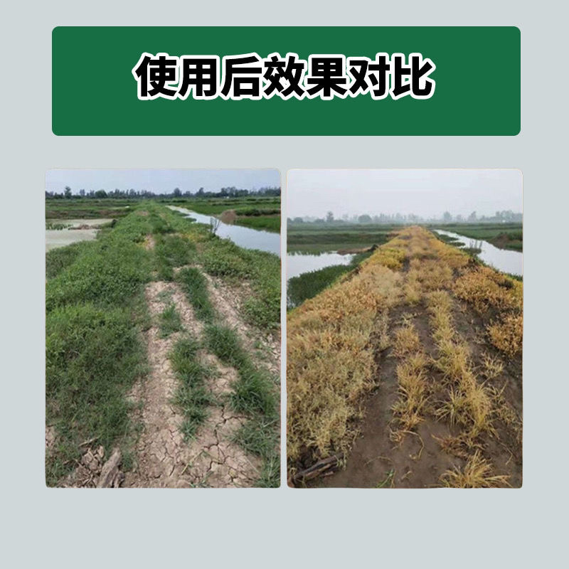 山丹金农达93%2甲·草甘膦非耕地烂根老品牌除草剂
