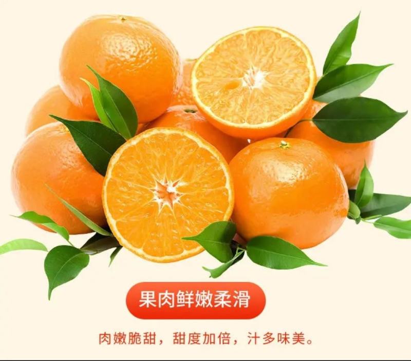 武鸣沃柑，支持全网一件代发，整车代办