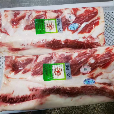 优质胸叉肥牛鲁西黄牛屠宰分割厂家直销