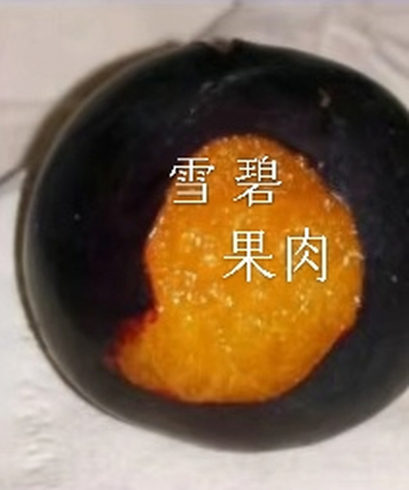 樱桃李，小仙子樱桃李，智利太阳李，美国樱桃李，高收益