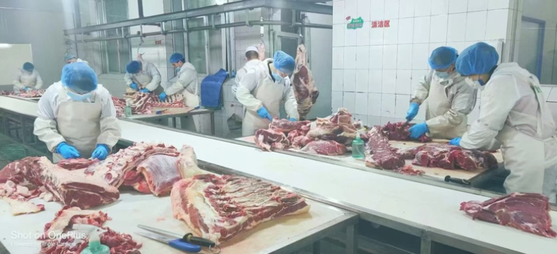 精修无油牛碎肉卷鲁西黄牛屠宰分割厂家直销
