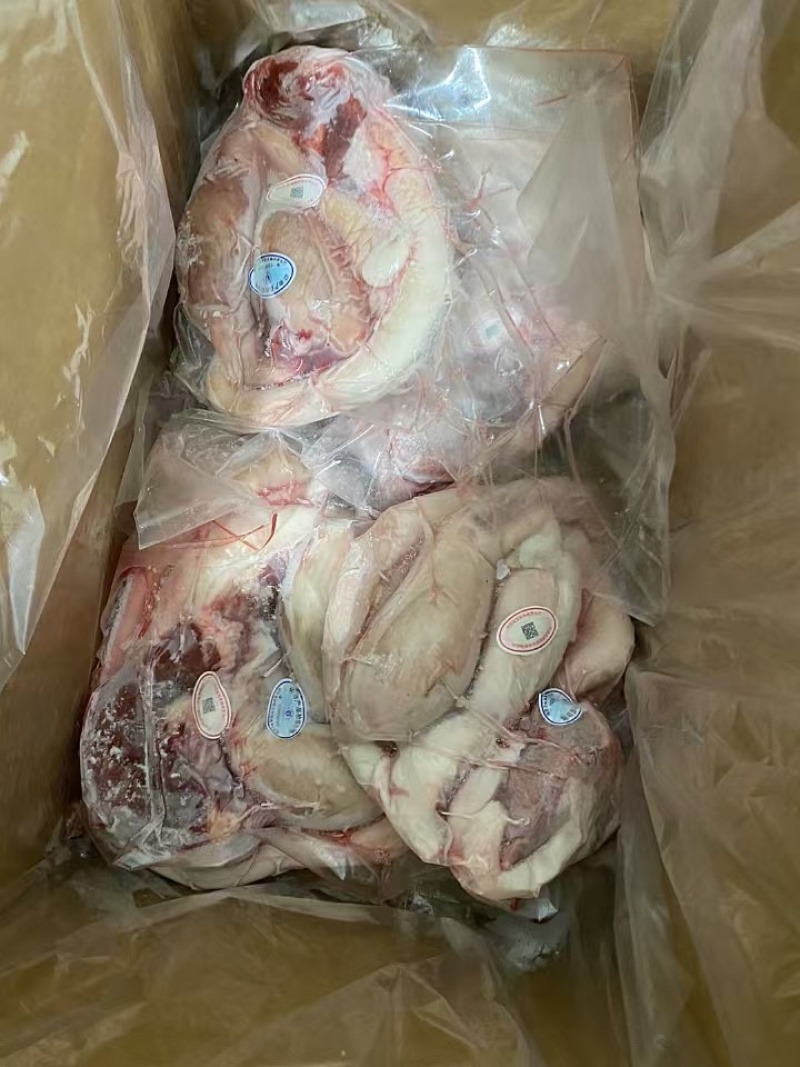 优质牛鞭宝鲁西黄牛屠宰分割厂家直销