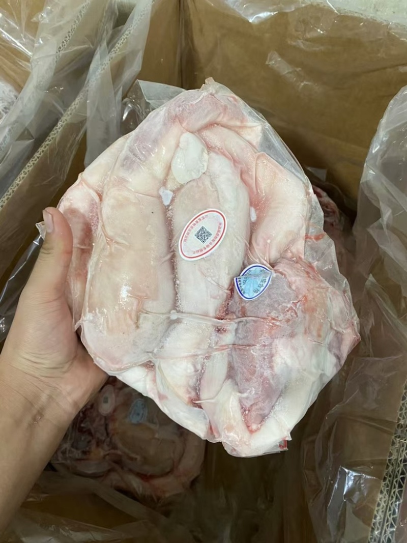 优质牛鞭宝鲁西黄牛屠宰分割厂家直销