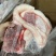 优质牛鞭宝鲁西黄牛屠宰分割厂家直销