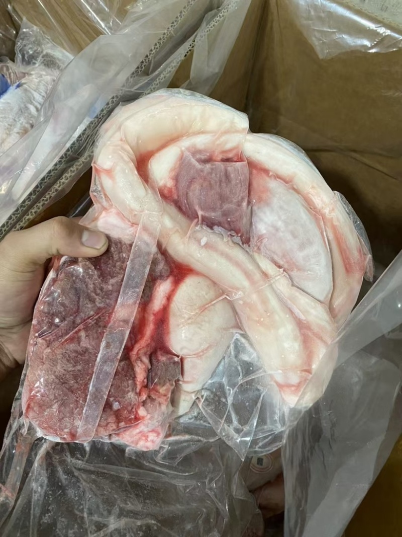 优质牛鞭宝鲁西黄牛屠宰分割厂家直销