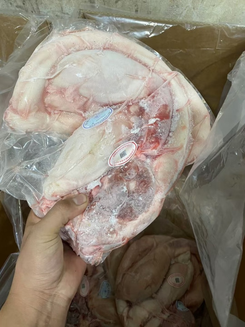 优质牛鞭宝鲁西黄牛屠宰分割厂家直销