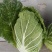 玉田黄心菜（鱼嘴）